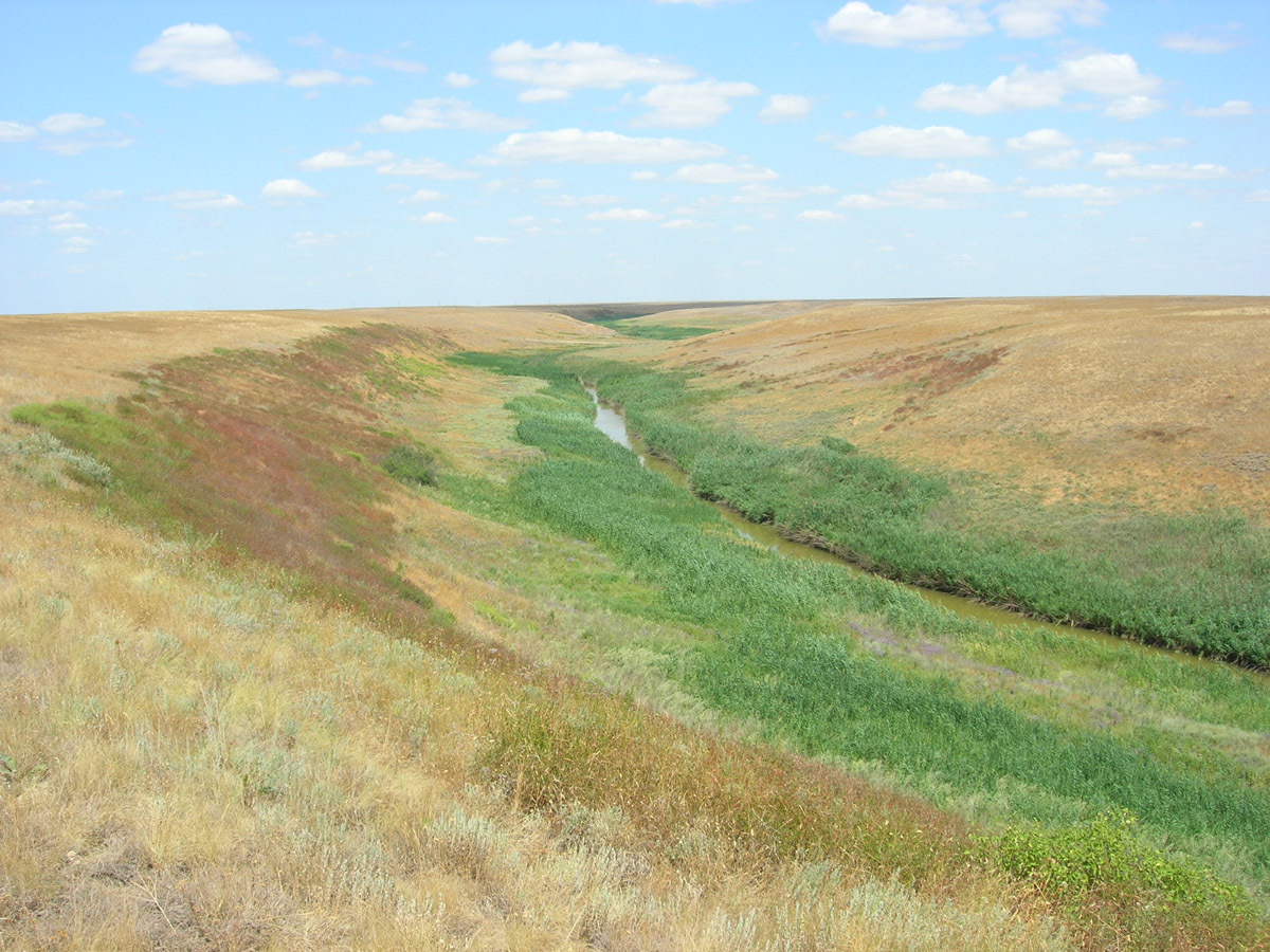 Побережье озера Эльтон, image of landscape/habitat.