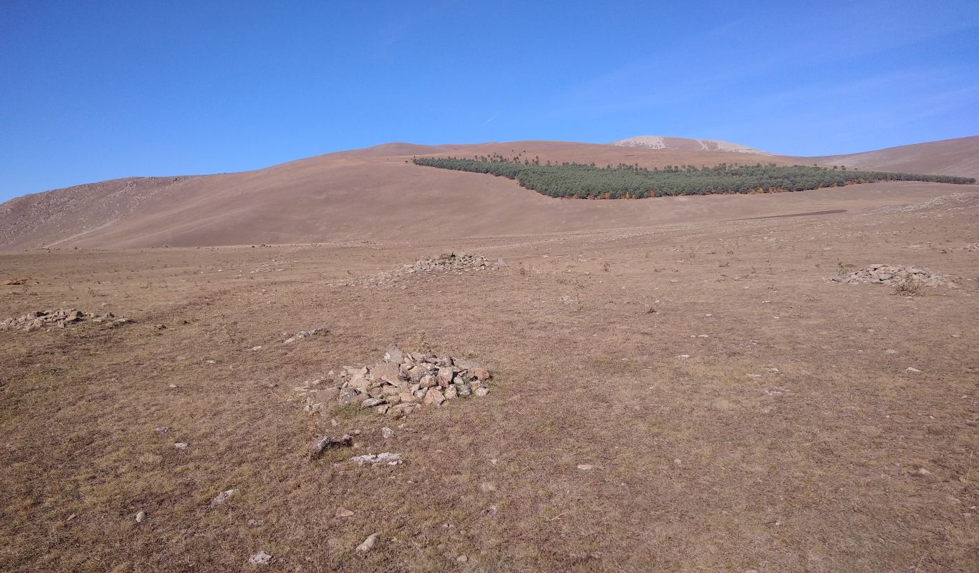 Окрестности горы Патара Абули, image of landscape/habitat.