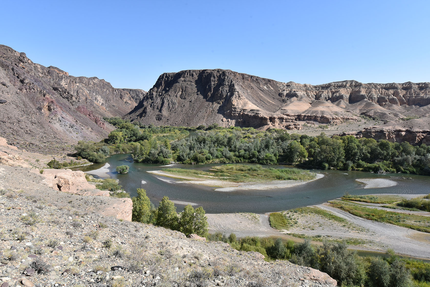 Куртогай, image of landscape/habitat.