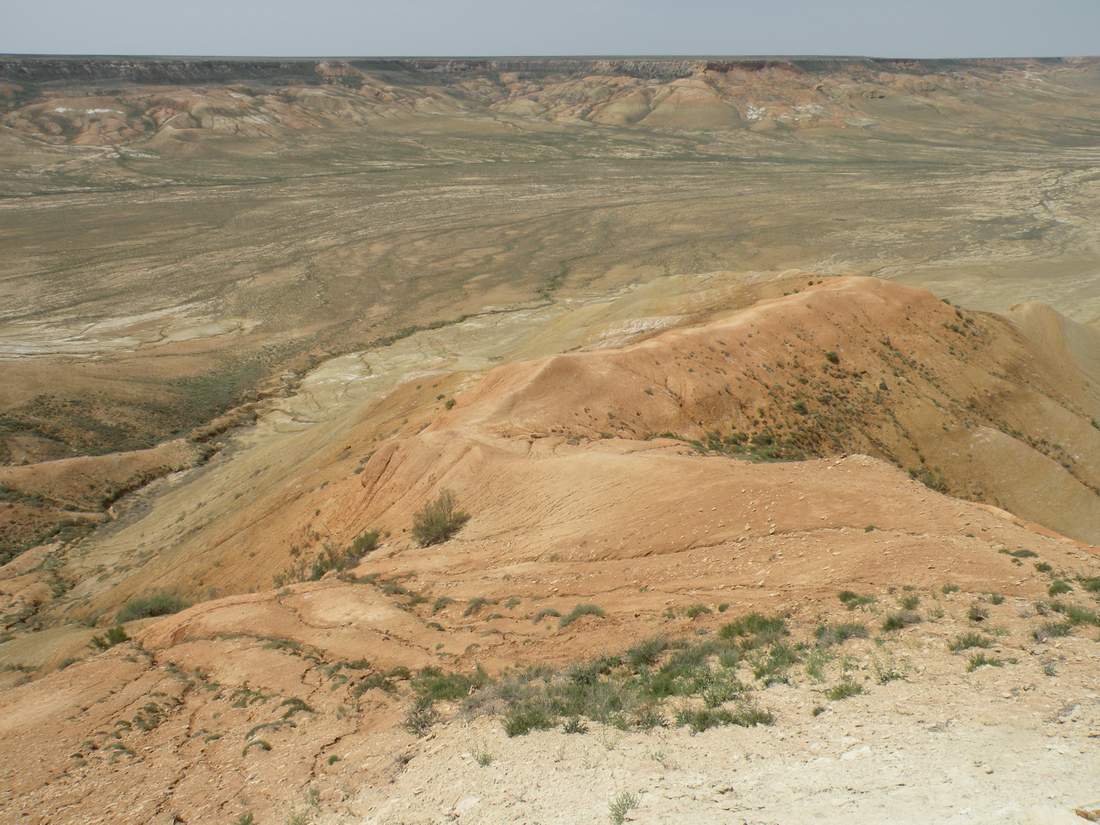 Чинк Донызтау, image of landscape/habitat.