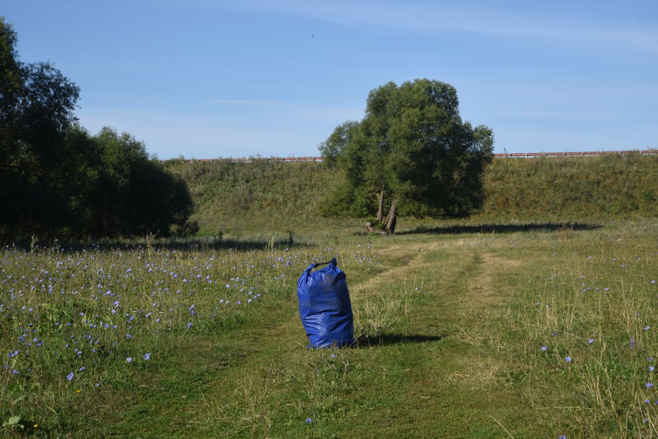 Устье реки Паники, image of landscape/habitat.