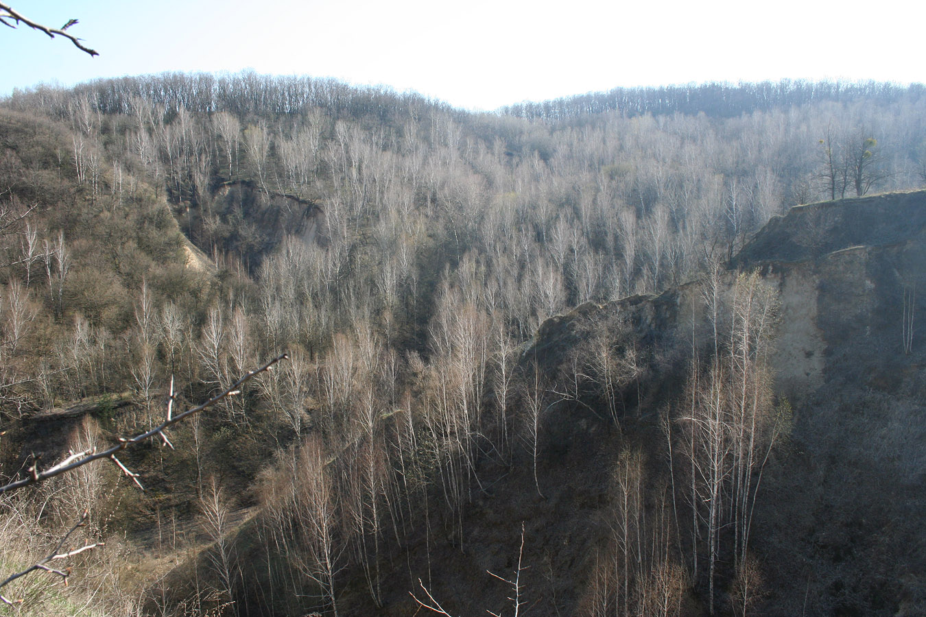 Трахтемиров, image of landscape/habitat.