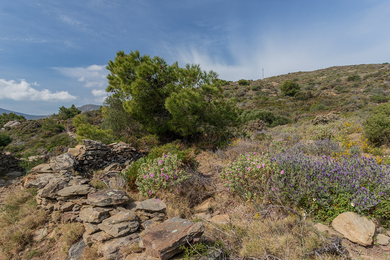 Природный парк "Кап-де-Креус", image of landscape/habitat.