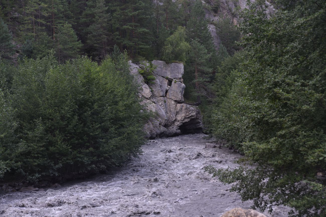 Химой, image of landscape/habitat.