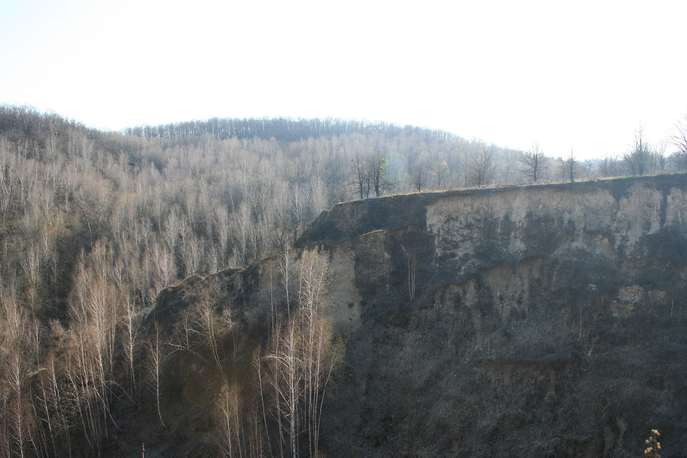 Трахтемиров, image of landscape/habitat.