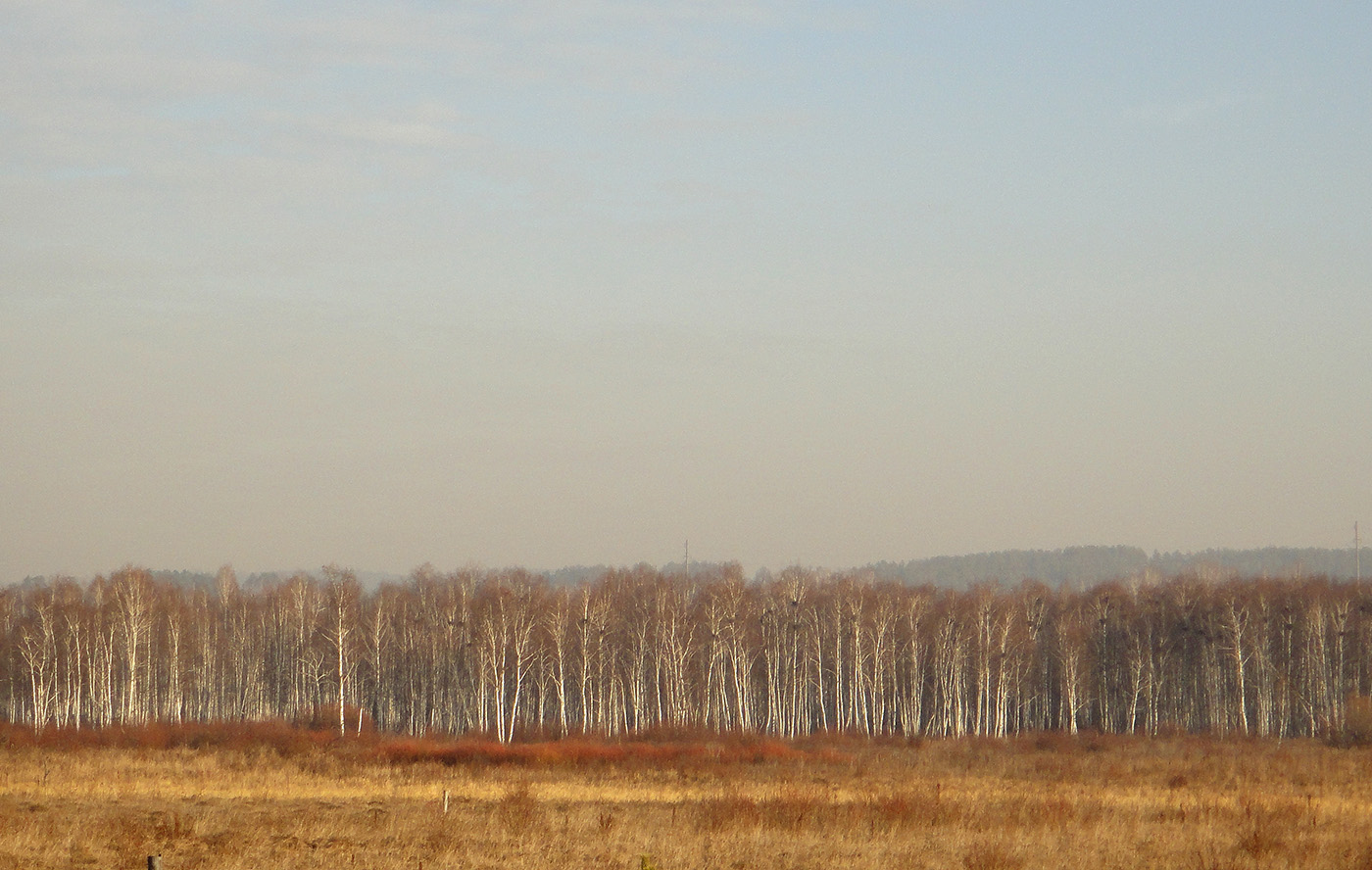 Позднякова, изображение ландшафта.