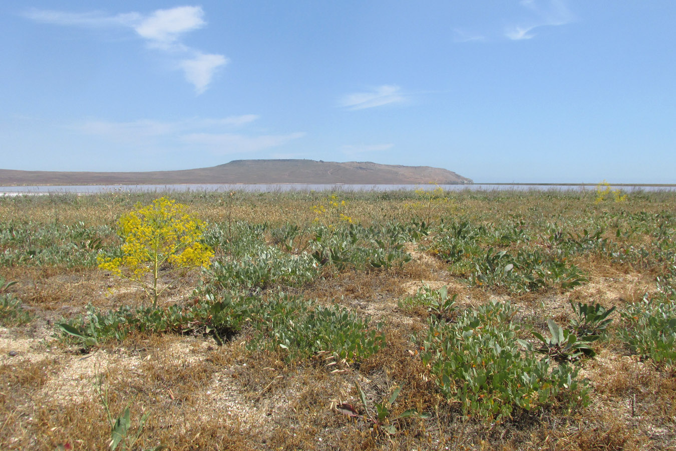 Озеро Кояшское, image of landscape/habitat.