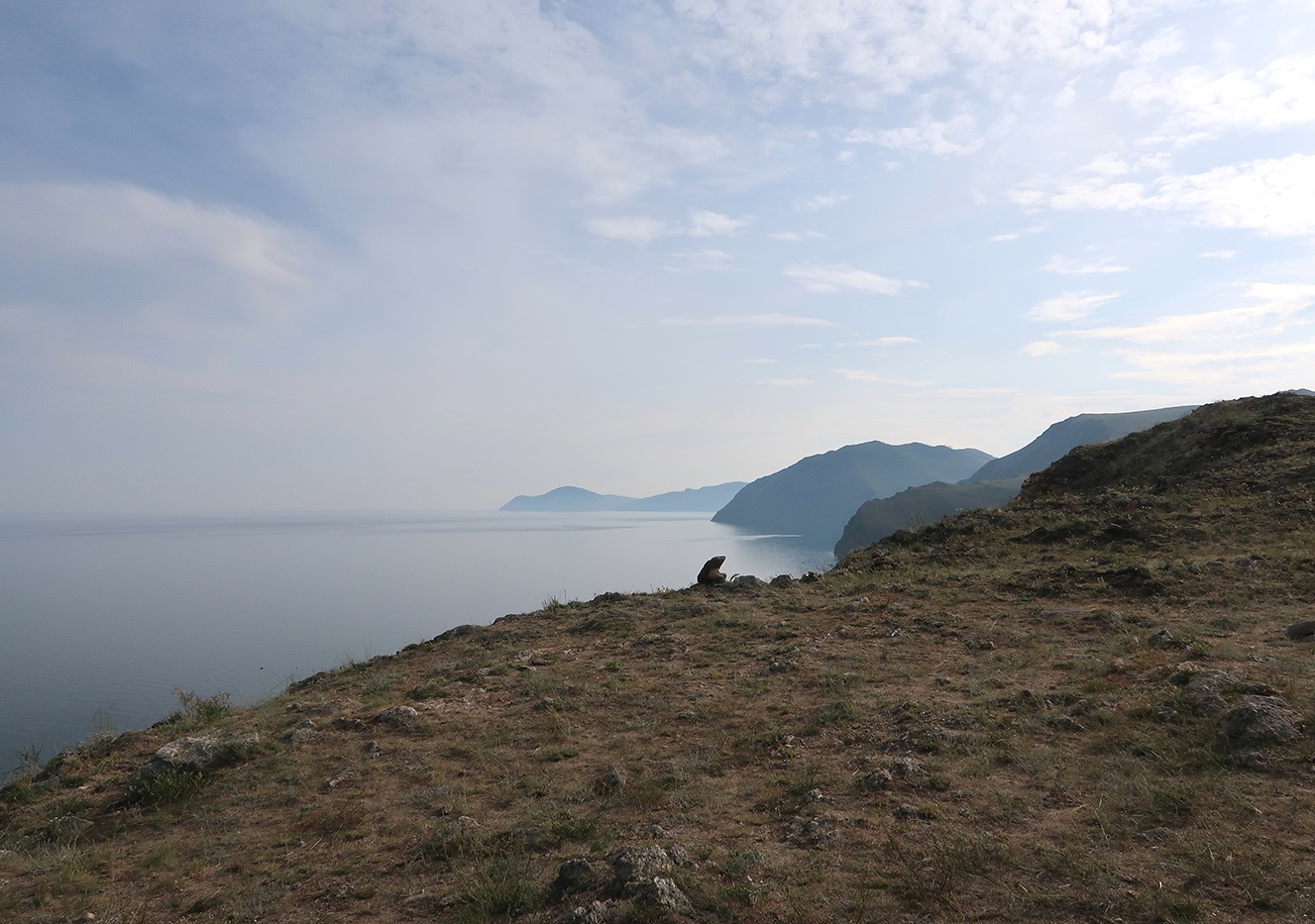 Тажеранская степь, image of landscape/habitat.