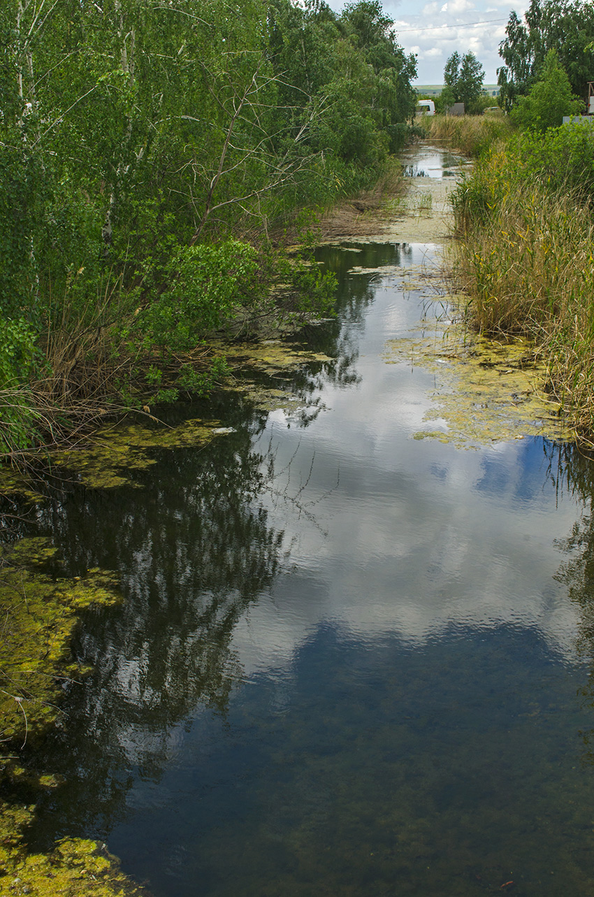 Аркаим, image of landscape/habitat.