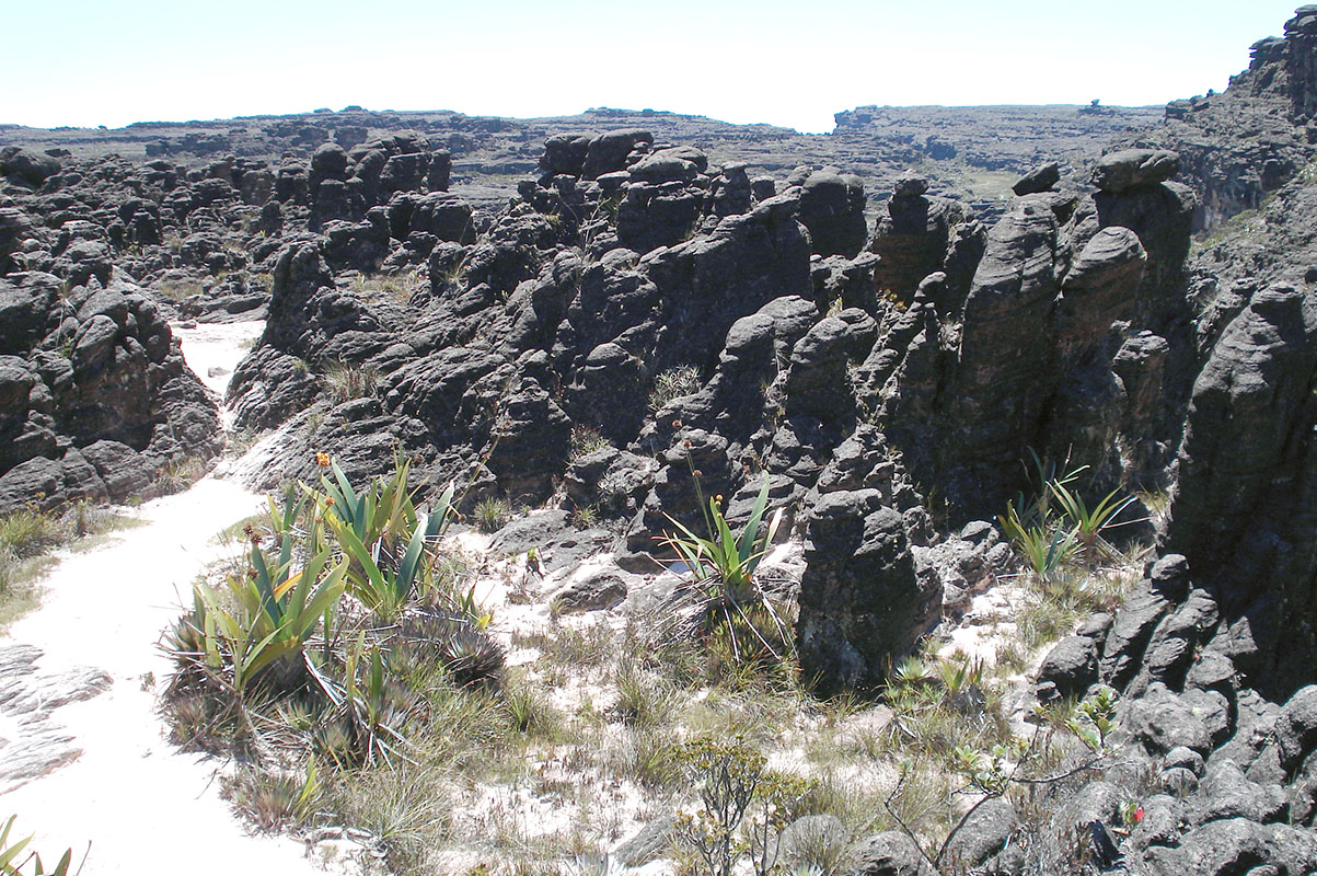 Рорайма, image of landscape/habitat.