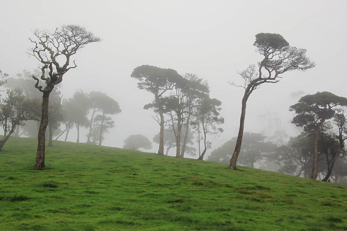 Хортон плэйнс, image of landscape/habitat.