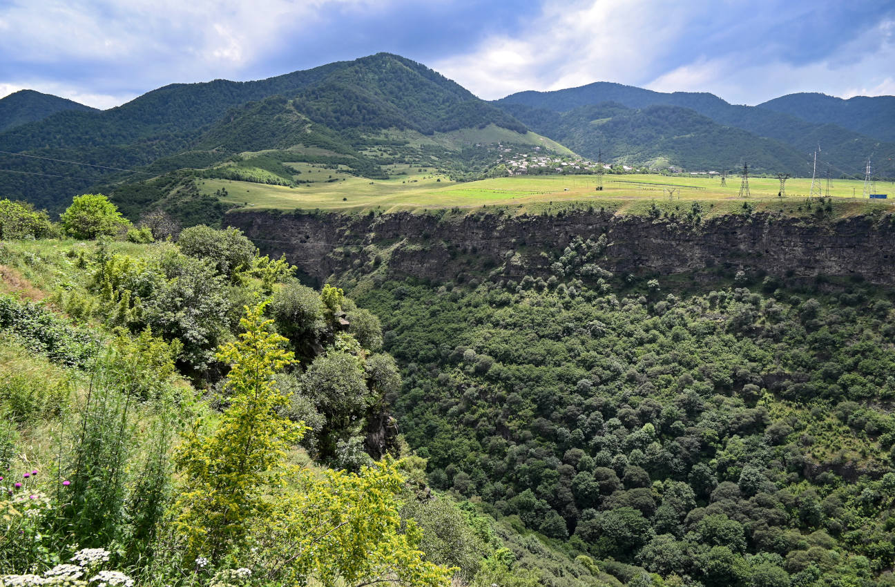 Ахпат, image of landscape/habitat.