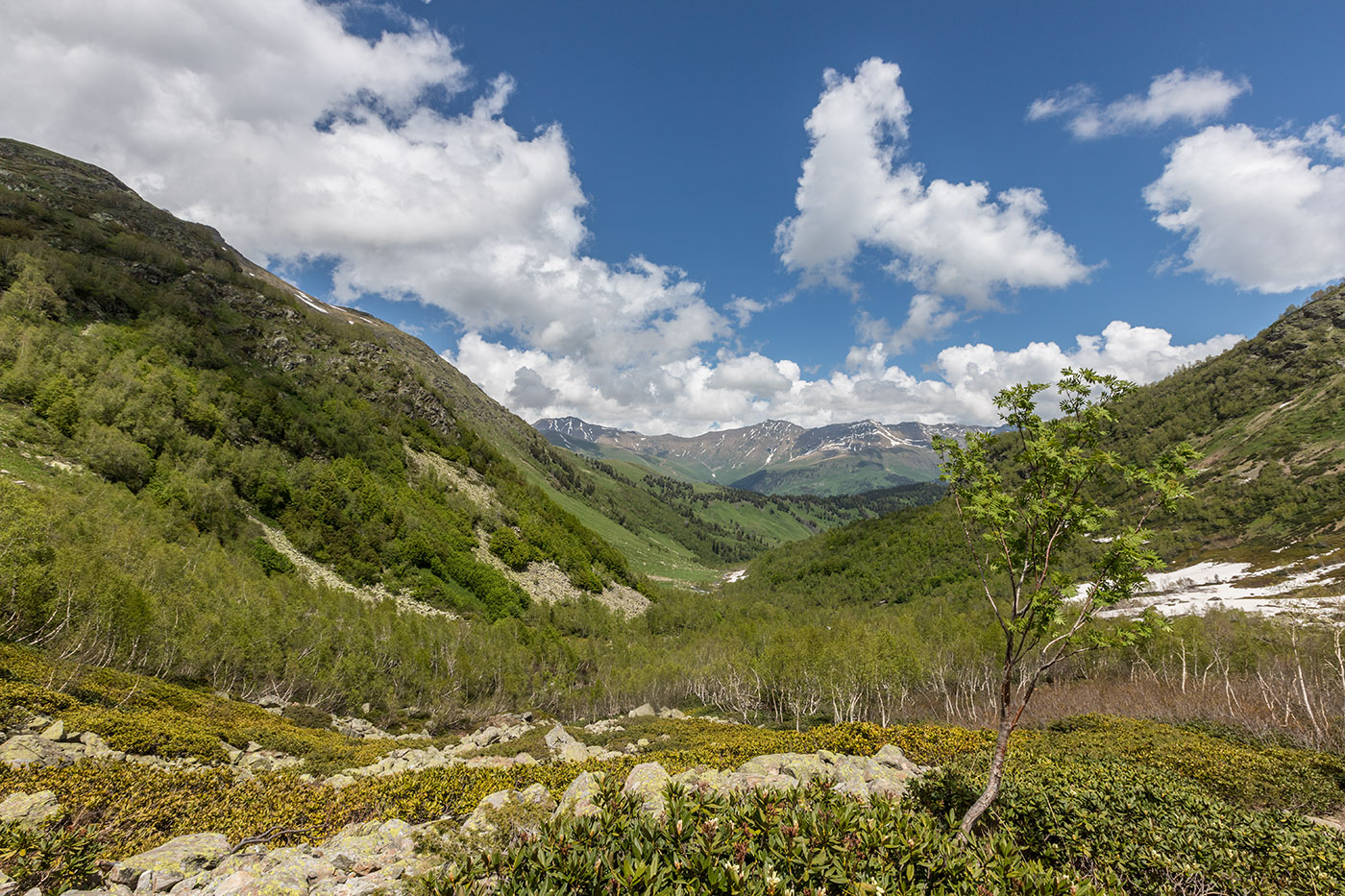 Долина реки Малая Дукка, image of landscape/habitat.