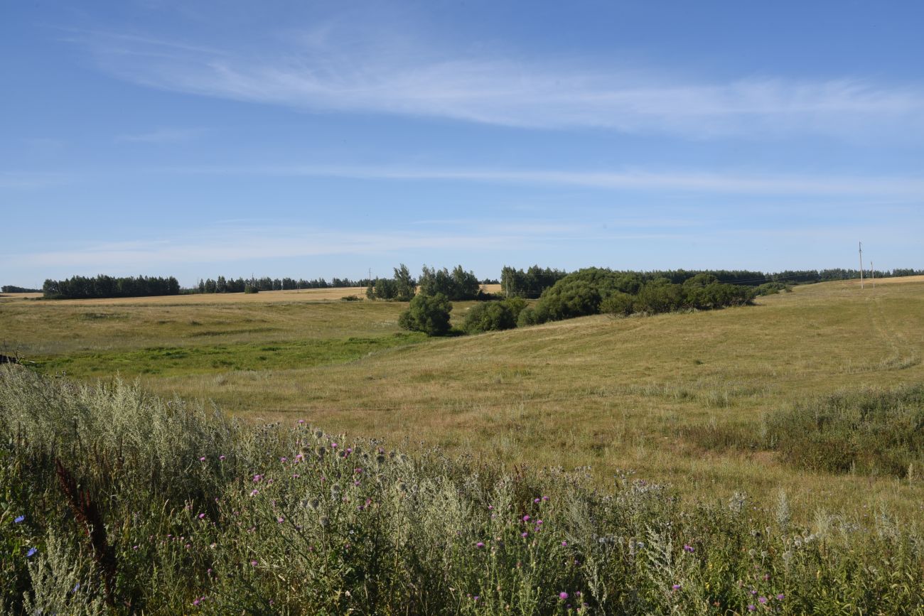 Нижняя часть долины Паники, image of landscape/habitat.