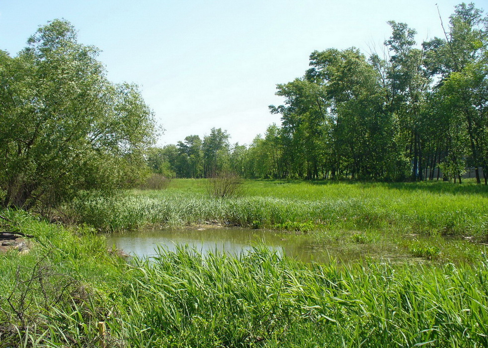 Станция Полянки, image of landscape/habitat.