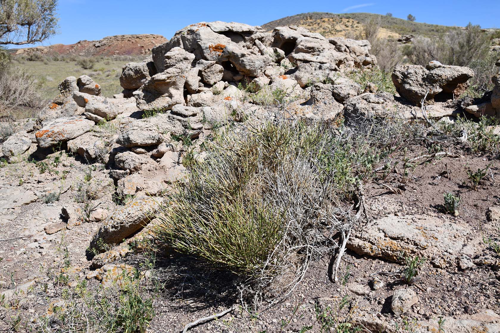 Горы Улькен-Богуты, image of landscape/habitat.