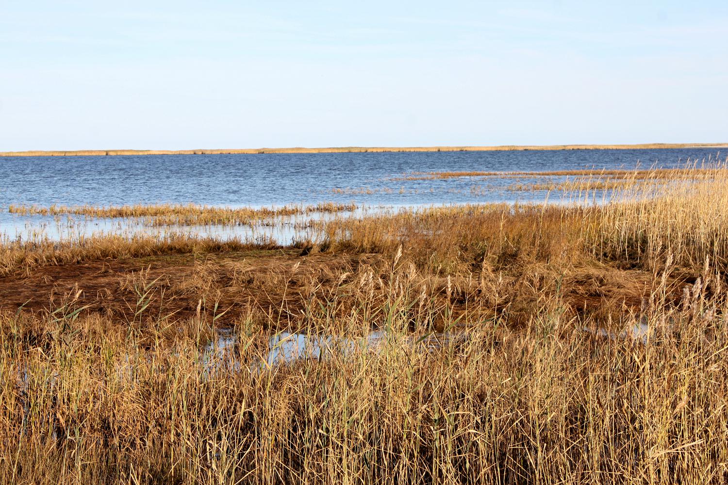 Ягры, image of landscape/habitat.