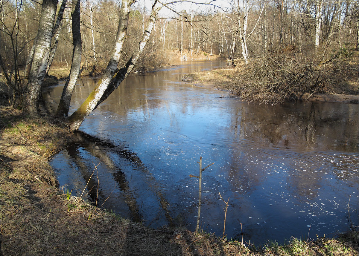 Хаболовка, image of landscape/habitat.