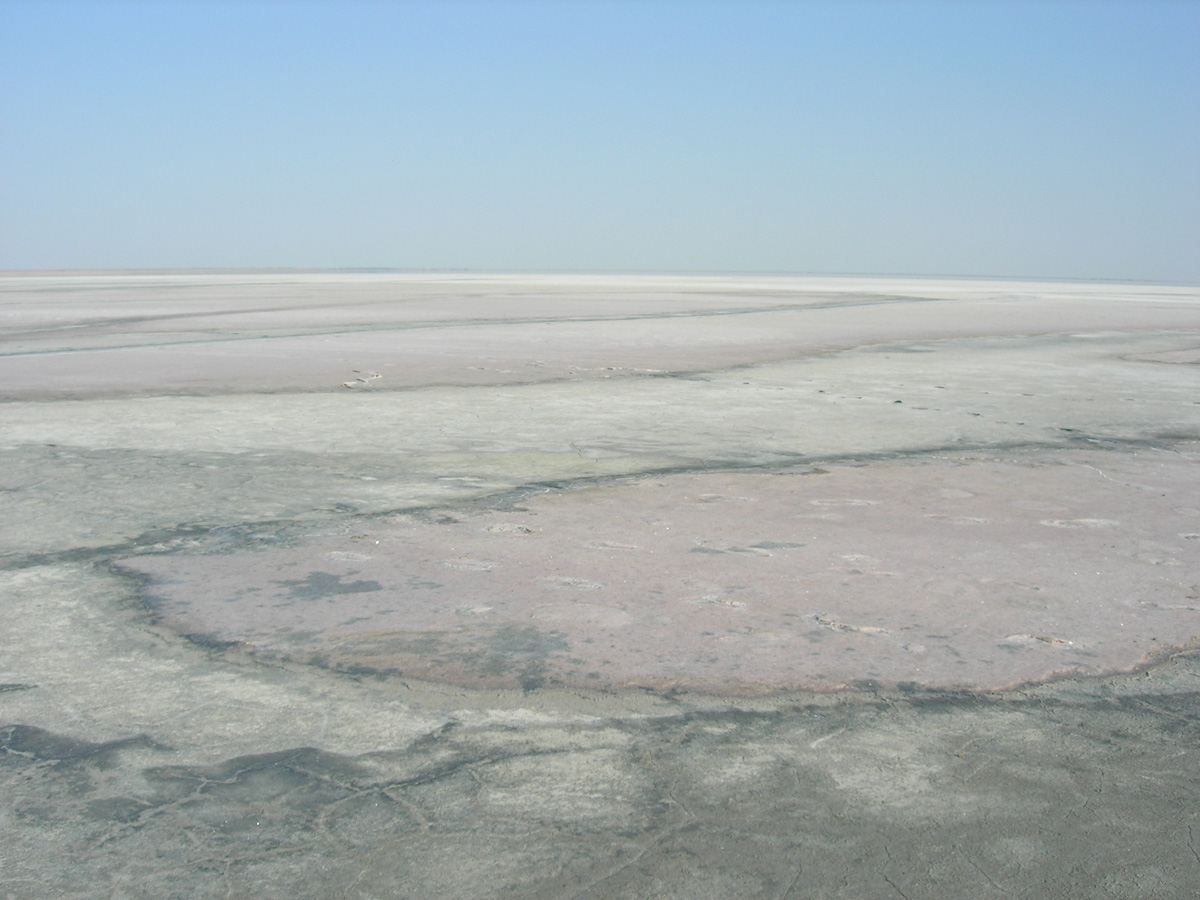 Побережье озера Эльтон, image of landscape/habitat.