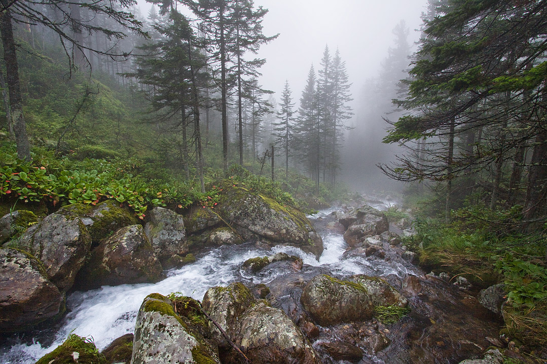 Тропа на "Чум", image of landscape/habitat.