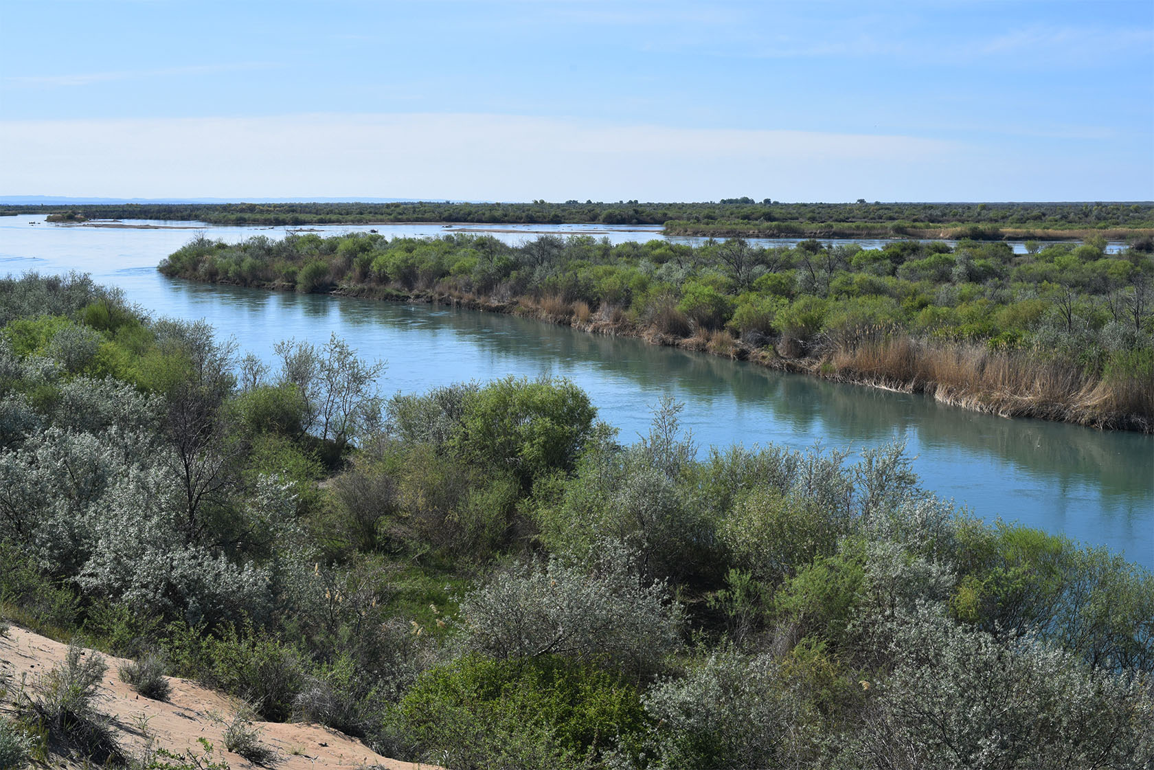 Узынтубек, image of landscape/habitat.