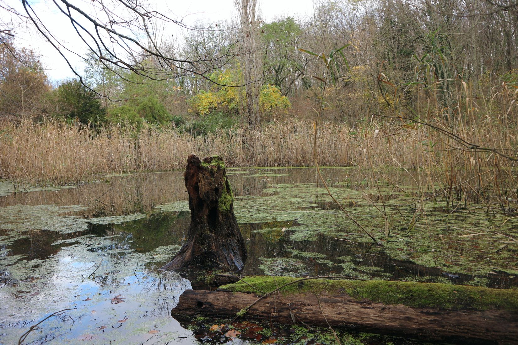 Озеро Бездонное, image of landscape/habitat.