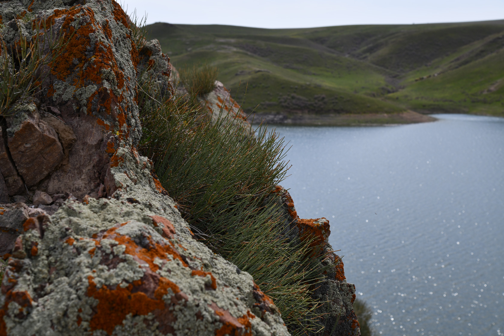 Курты, image of landscape/habitat.