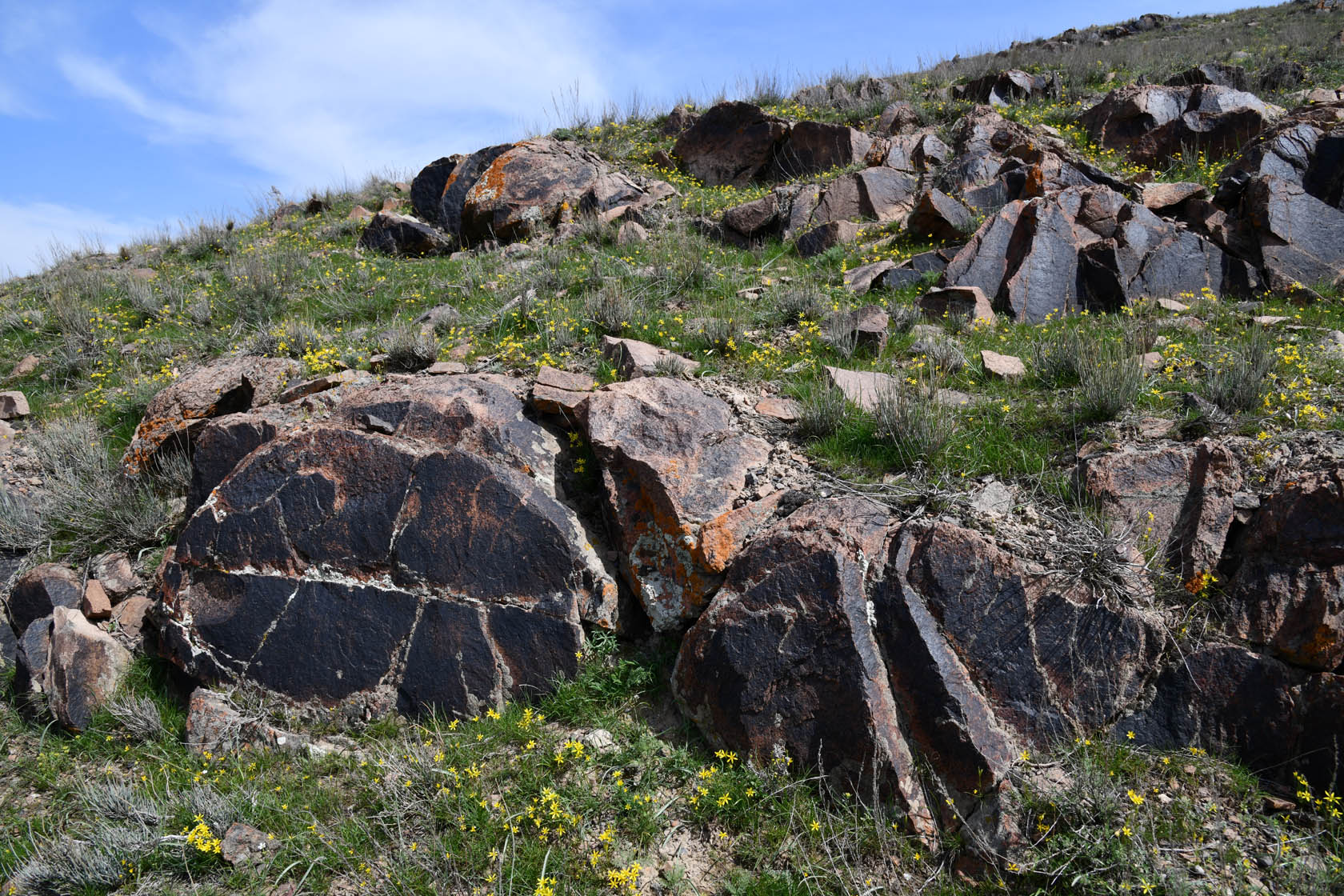 Курты, image of landscape/habitat.