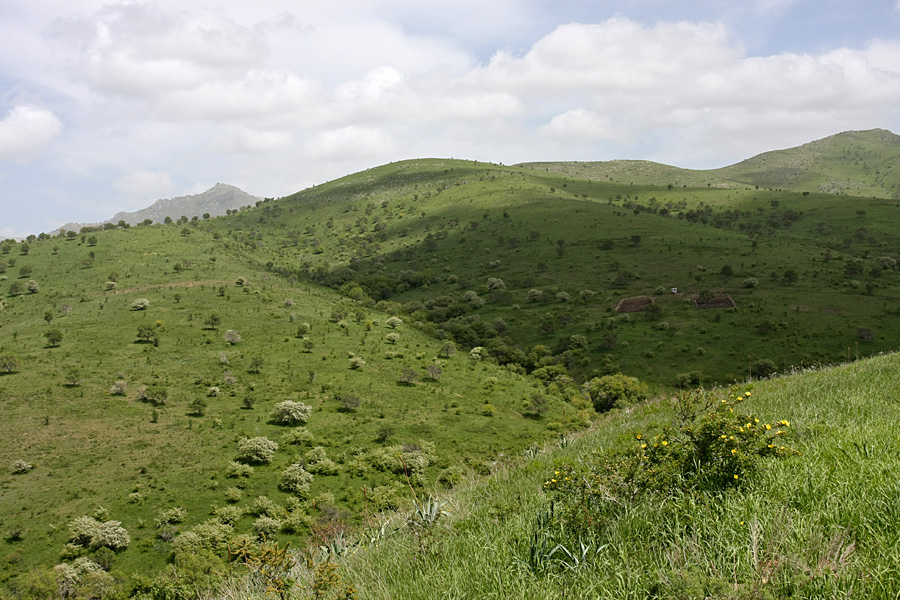 Горы Кокбулак, image of landscape/habitat.