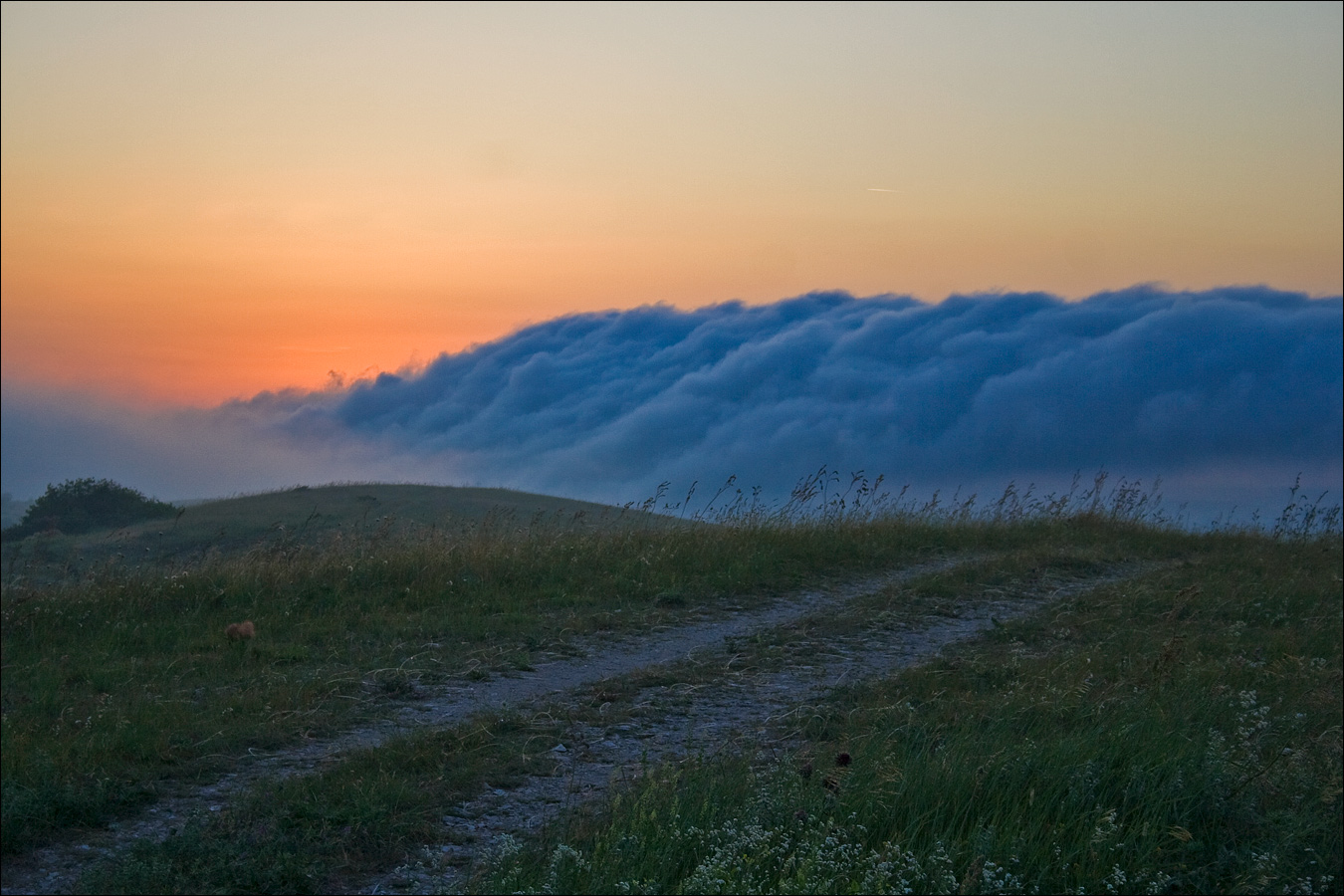 Плато Узун-Сырт (Клементьева), image of landscape/habitat.