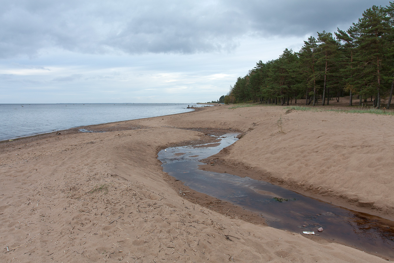 Лебяжье, image of landscape/habitat.