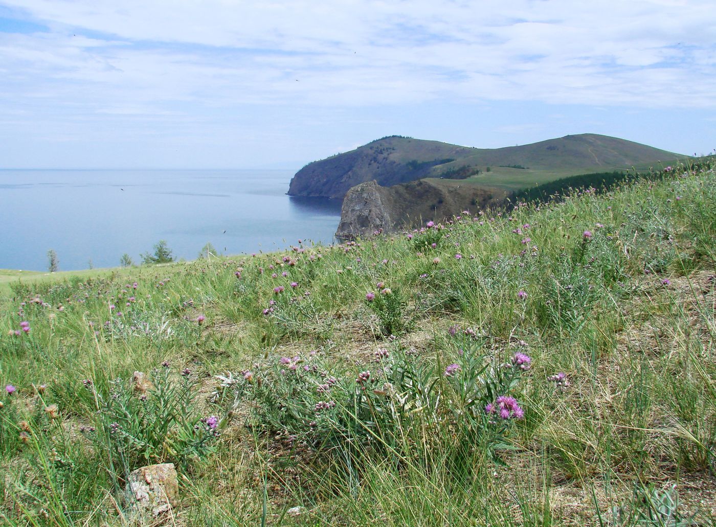 Мыс Саган-Хушун, image of landscape/habitat.