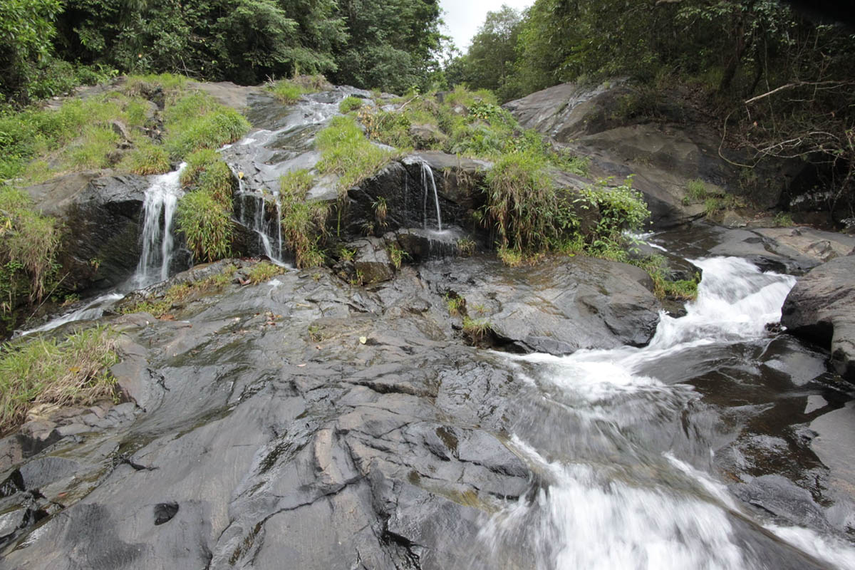 Лес Макандева, image of landscape/habitat.