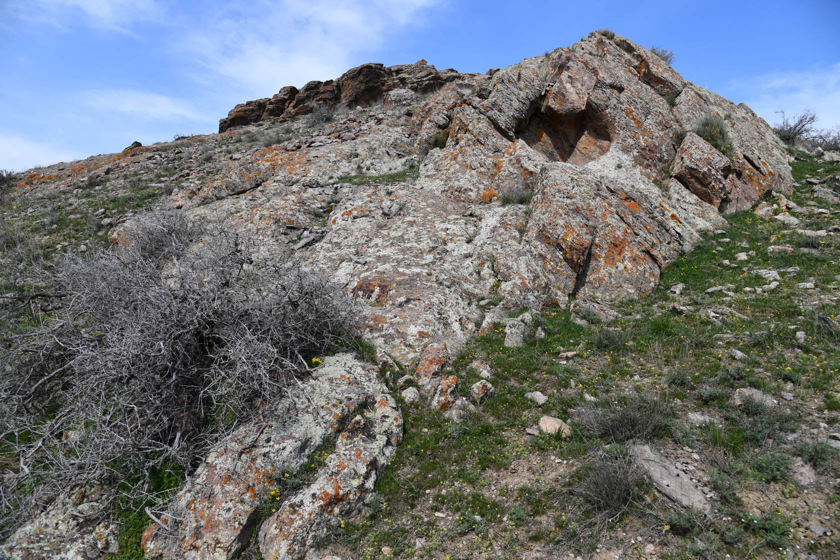 Курты, image of landscape/habitat.