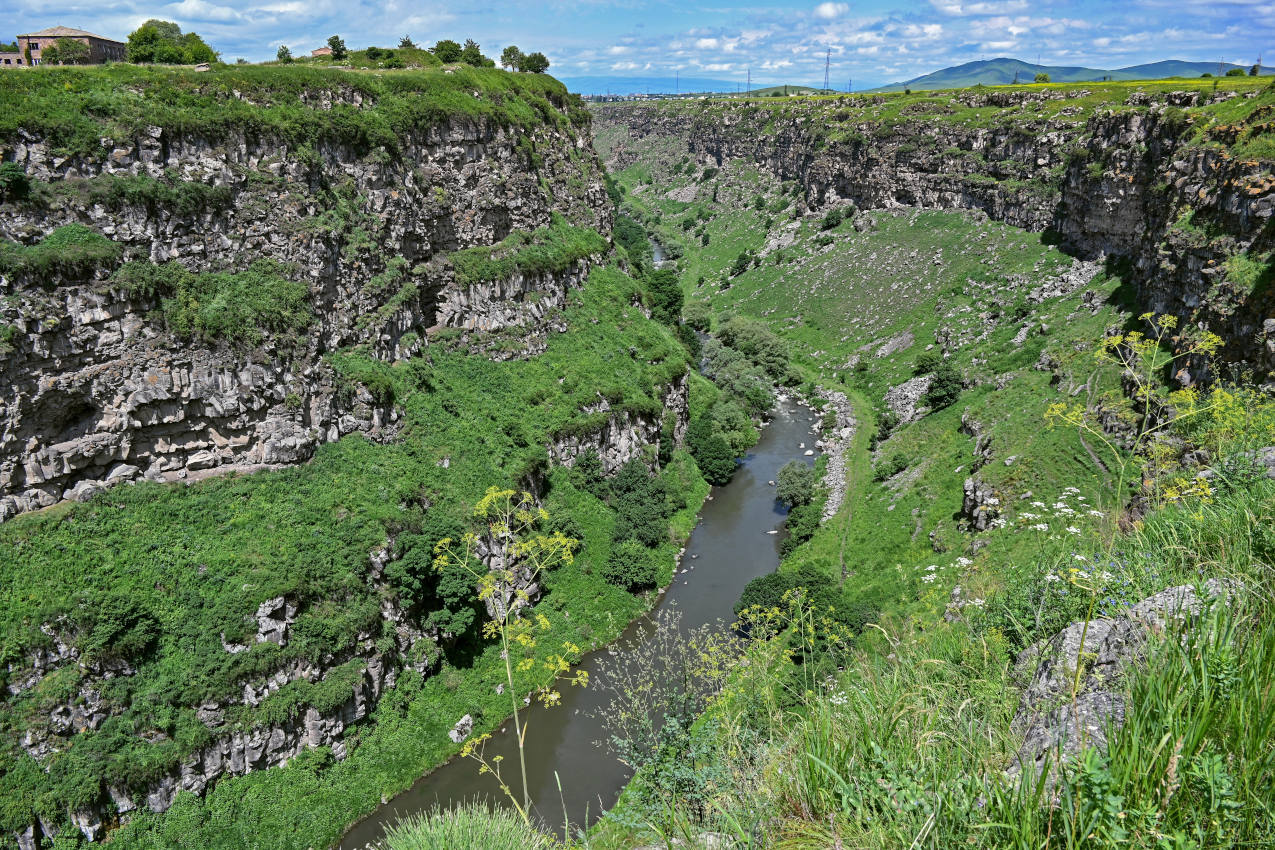 Лори Берд, image of landscape/habitat.