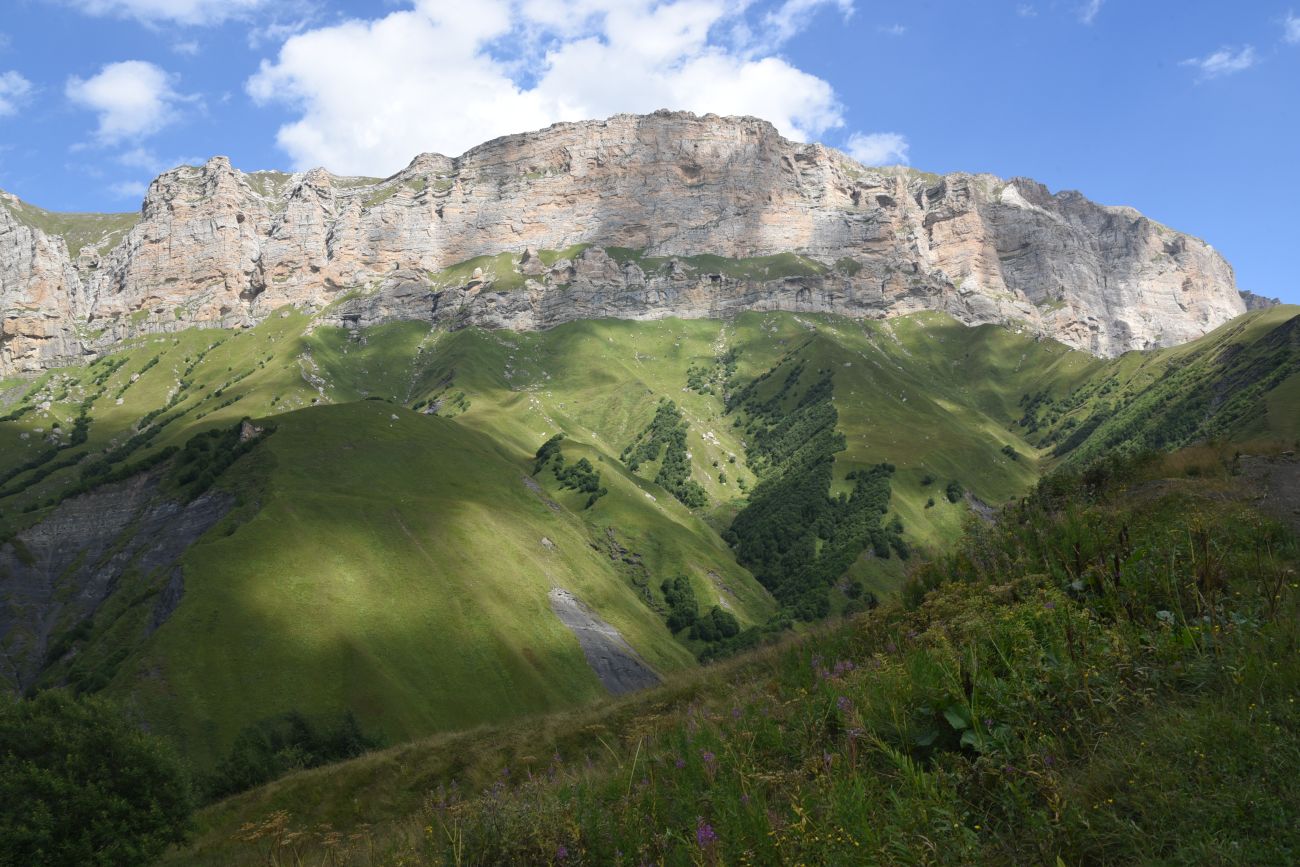 Цумандинский перевал, image of landscape/habitat.