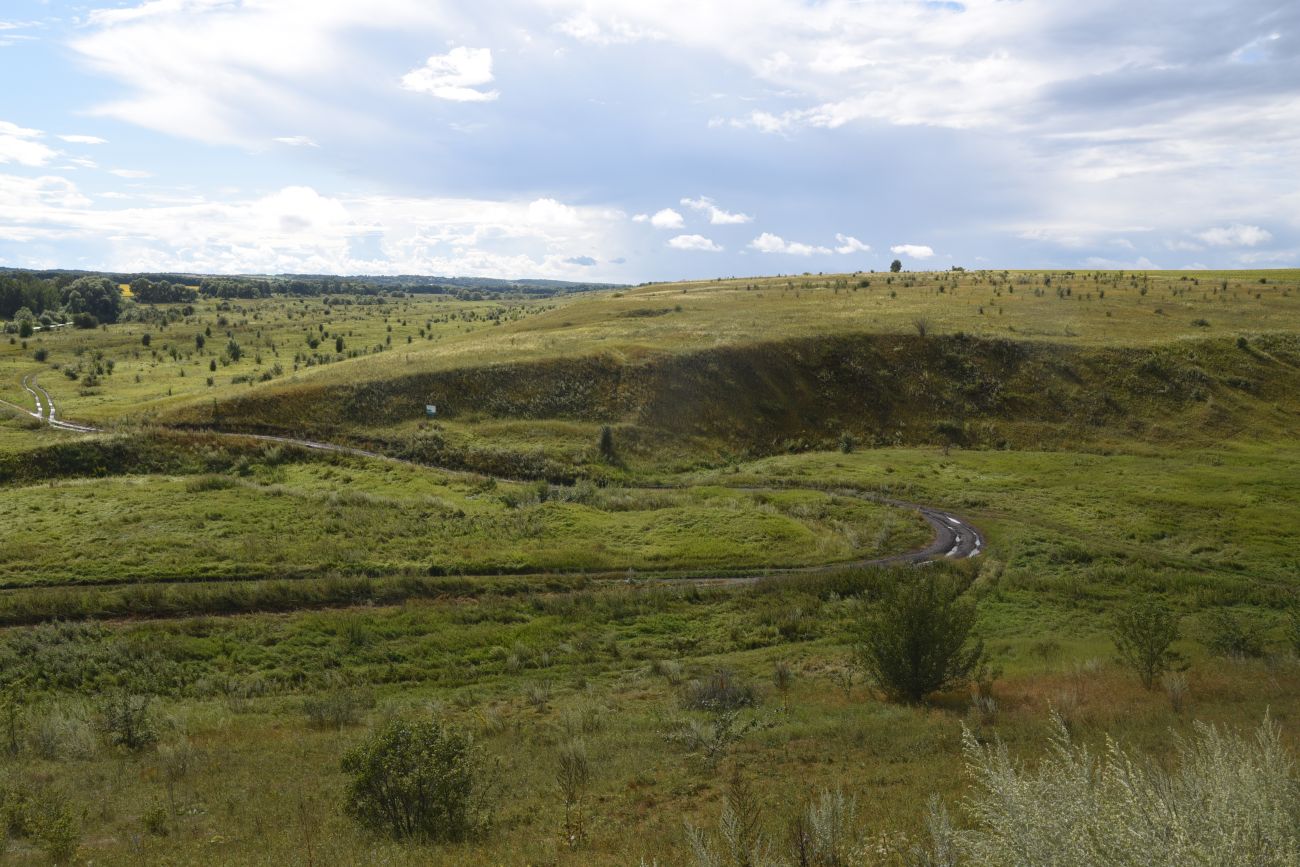 Балка Крутой Овраг, image of landscape/habitat.