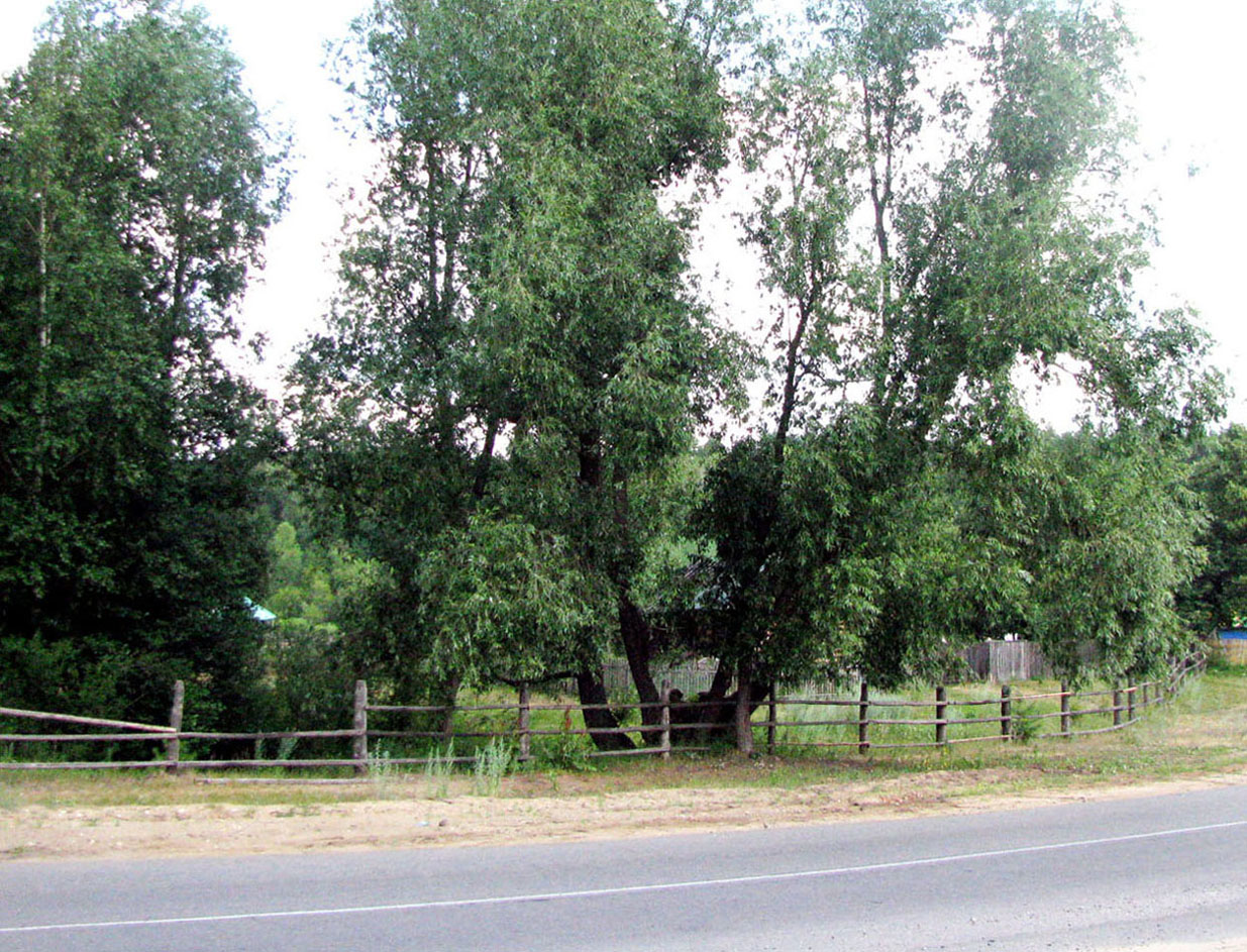 Чувашское Заволжье, image of landscape/habitat.