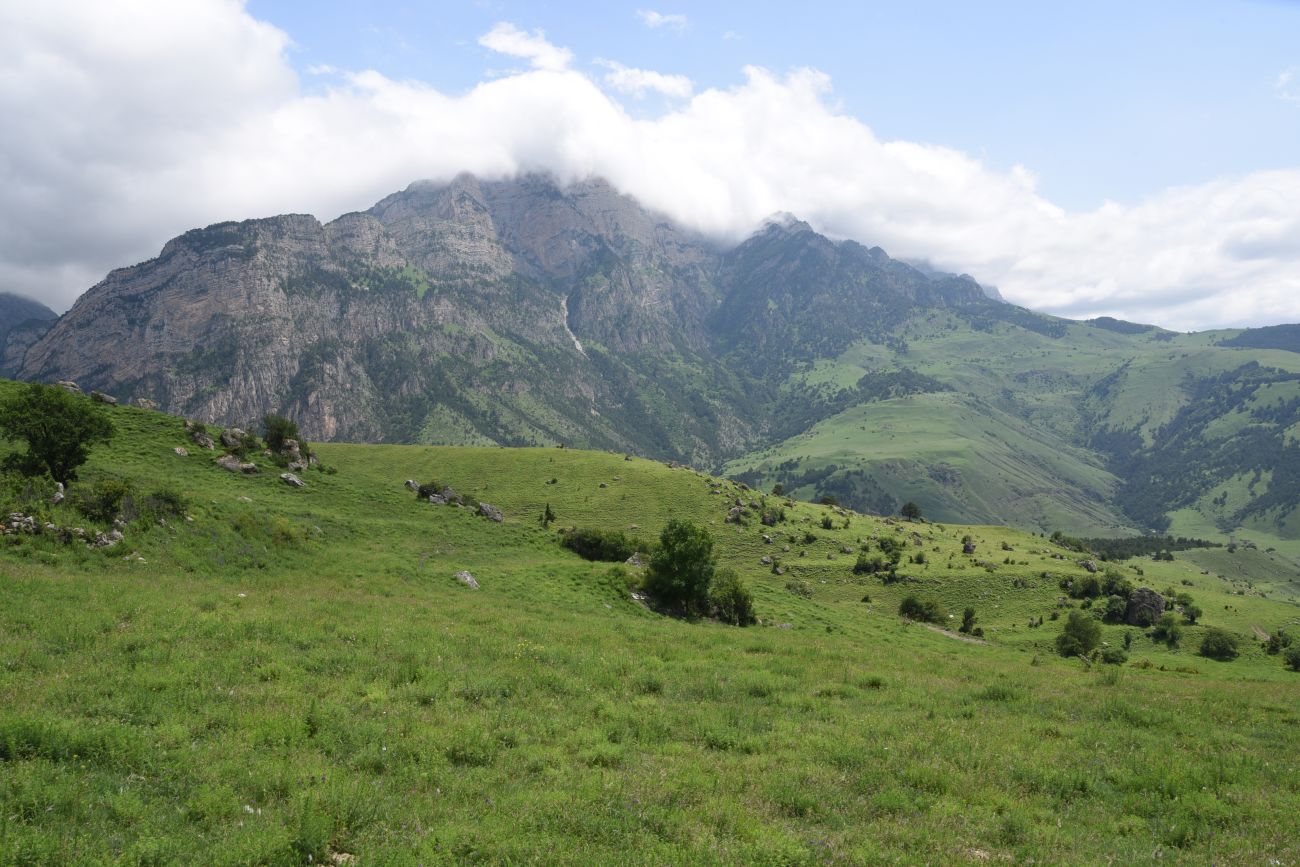 Бархане и окрестности, image of landscape/habitat.