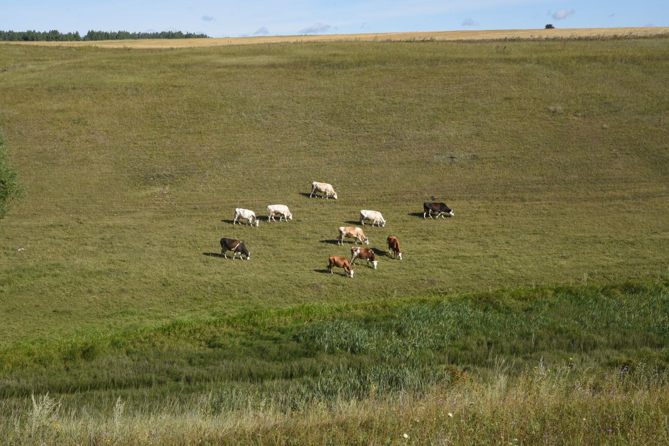 Нижняя часть долины Паники, image of landscape/habitat.