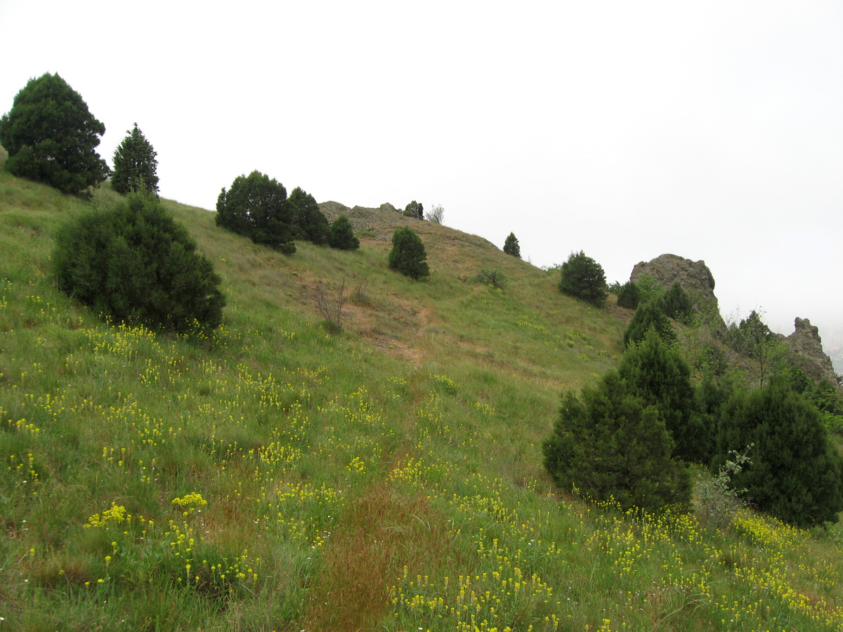 Карадаг, image of landscape/habitat.