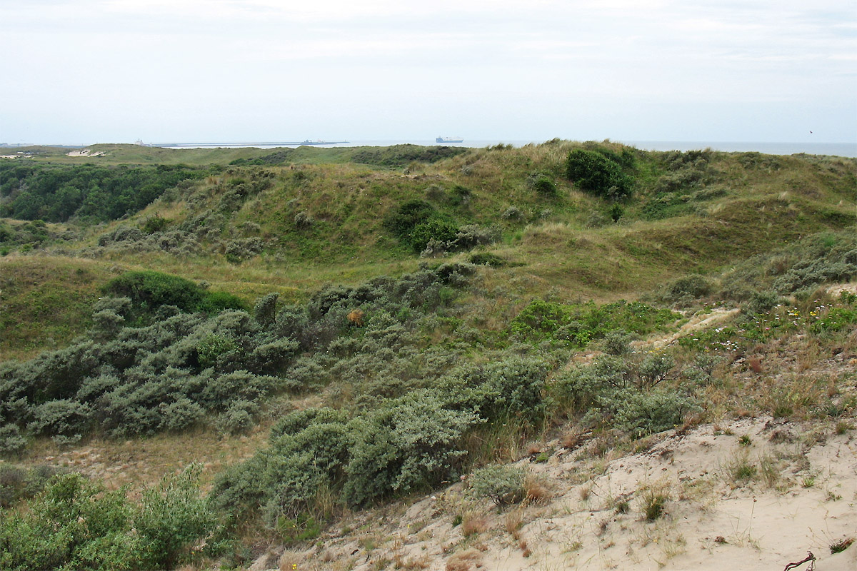 Вайк-ан-Зе, image of landscape/habitat.