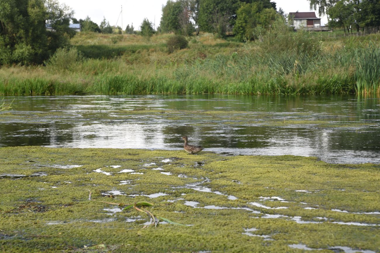 Деревня Гаи, image of landscape/habitat.