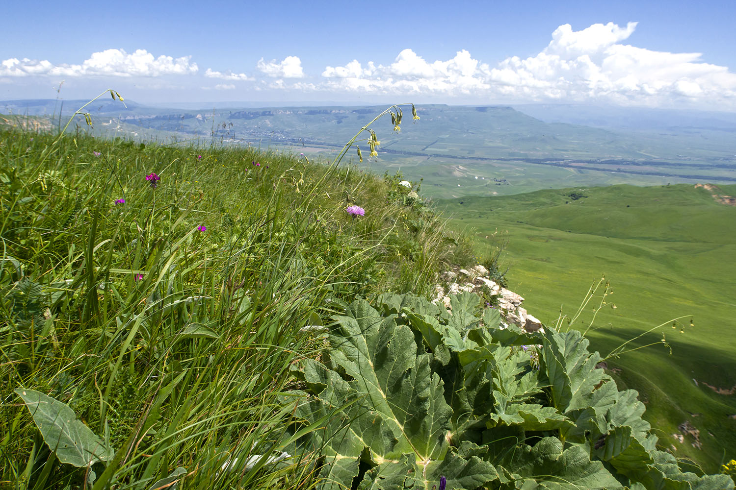 Джисса, image of landscape/habitat.