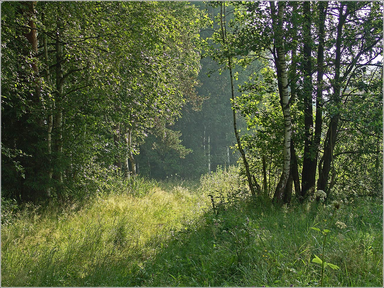 Окрестности Хрипани, image of landscape/habitat.