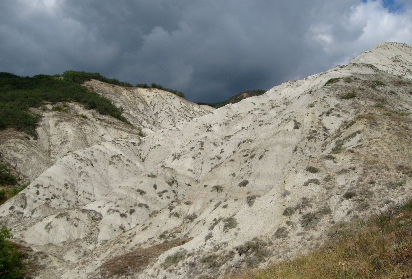 Армутлук, image of landscape/habitat.