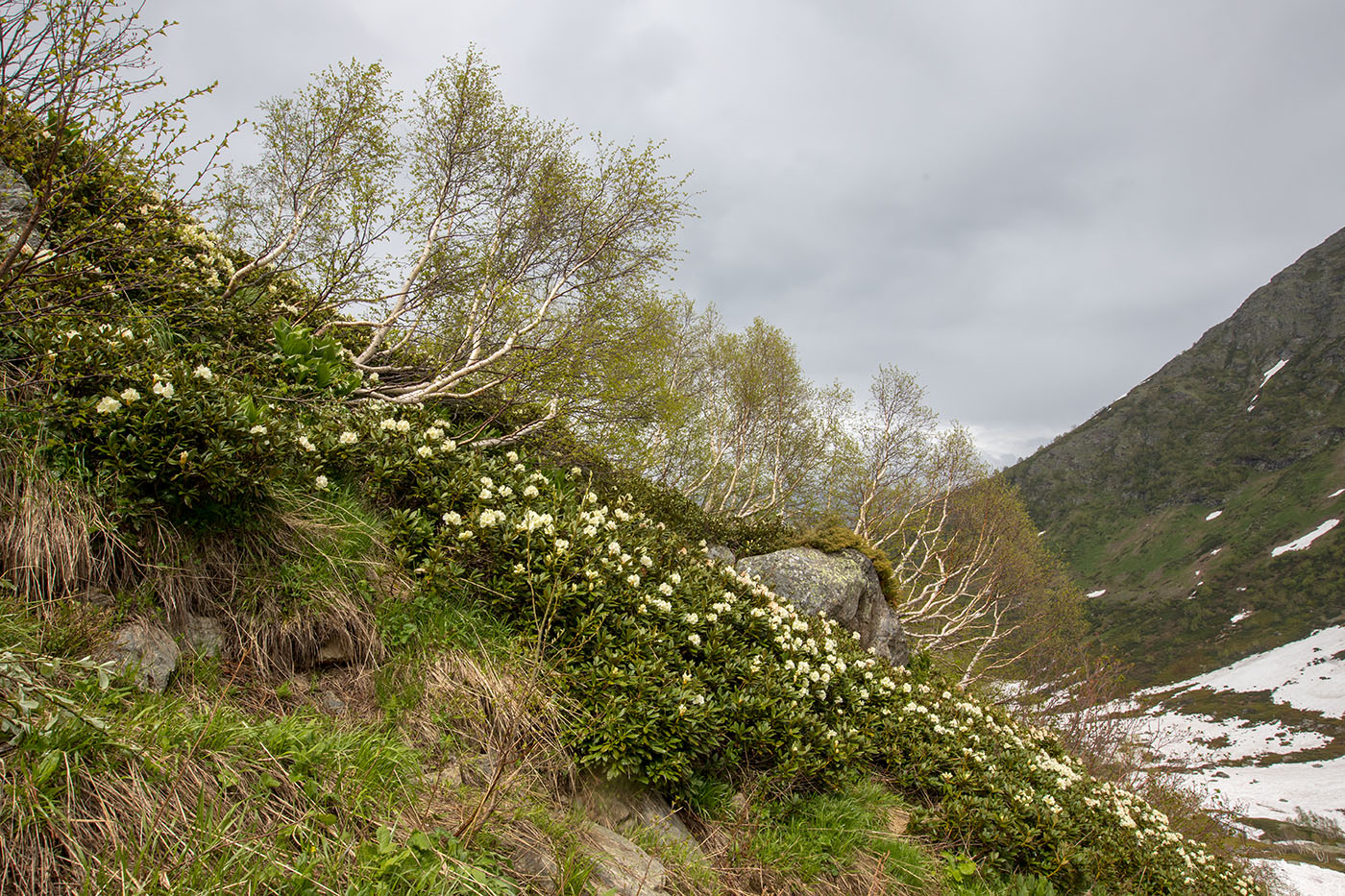 Долина реки Малая Дукка, image of landscape/habitat.