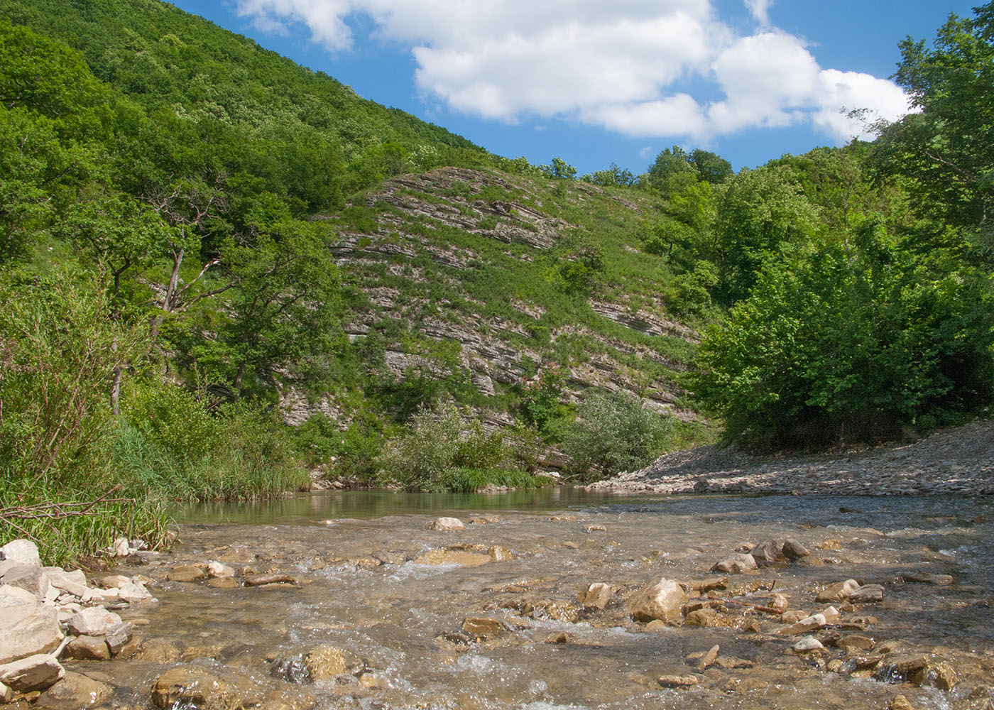 Плачущая скала, image of landscape/habitat.