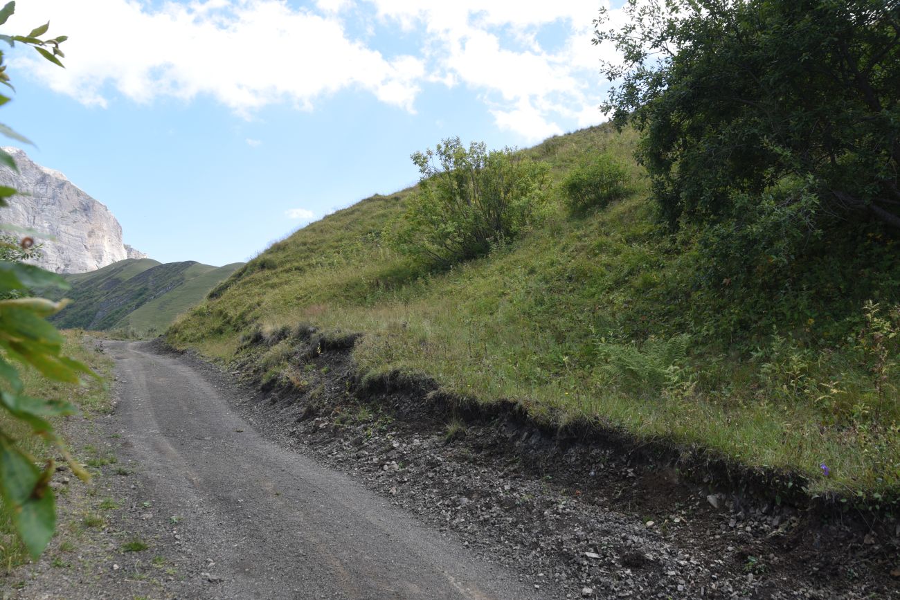 Цумандинский перевал, image of landscape/habitat.