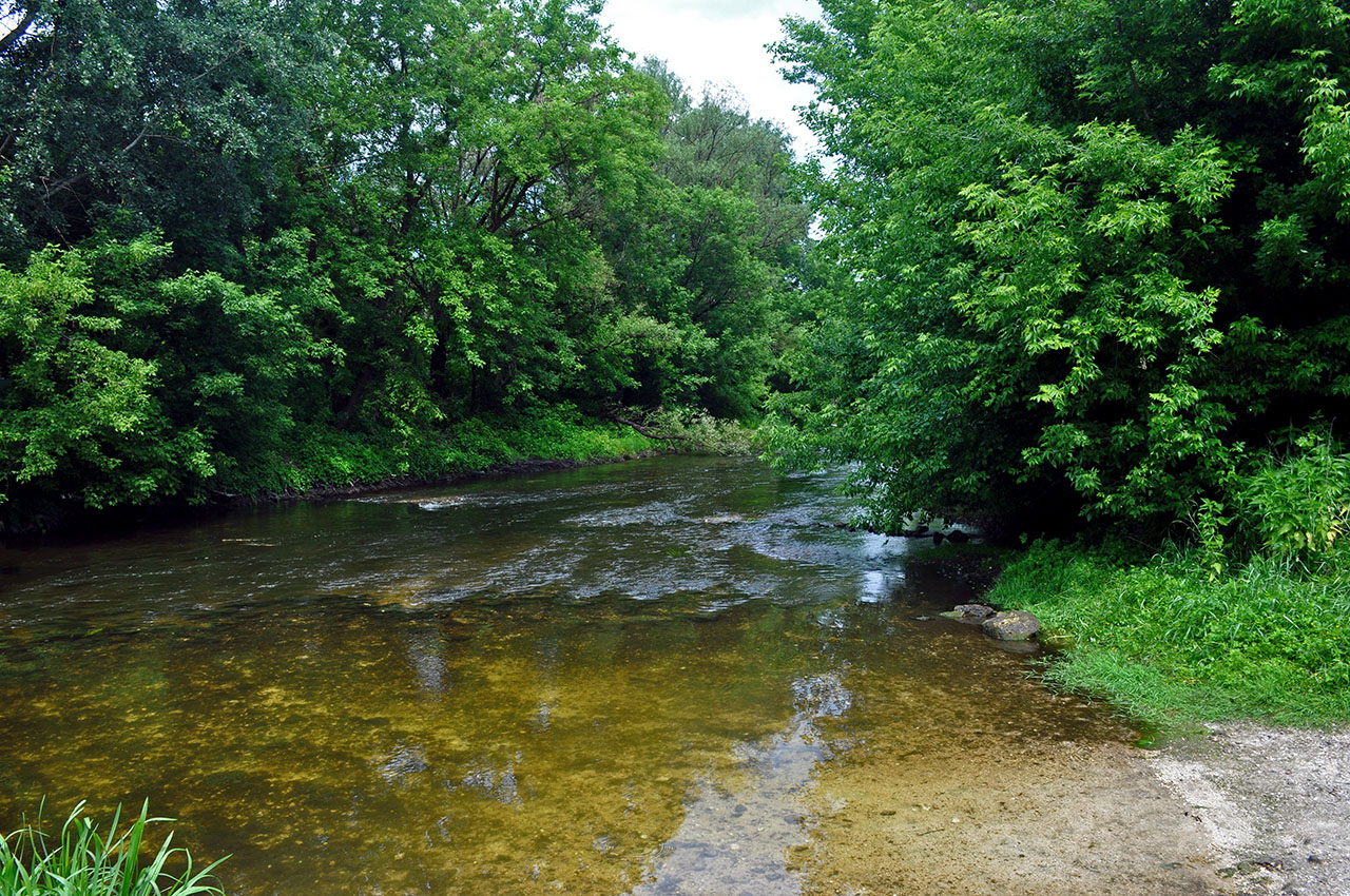 Дивногорье, image of landscape/habitat.